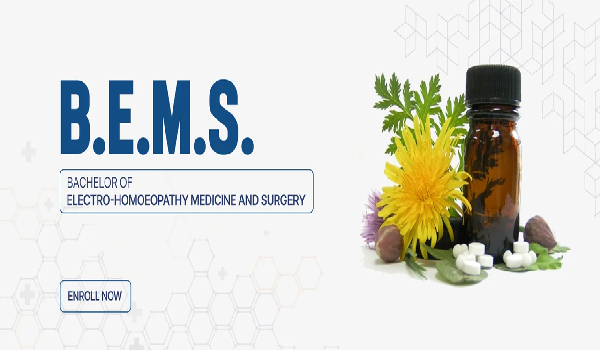 BEMS